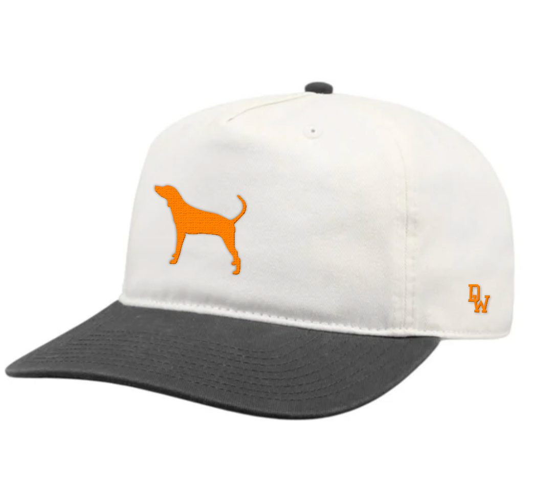 The Hound Two Tone Garment Washed Snapback Hat
