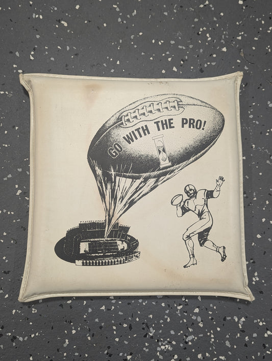 70's -80's Sherwin Williams Promo Stadium Cushion